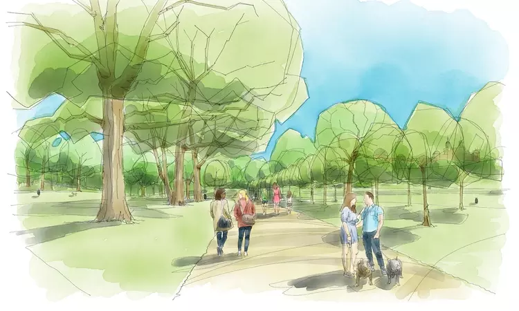 Artist's impression of restored tree avenue