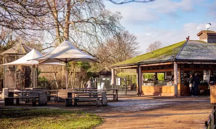 Broad Walk Café in Kensington Gardens