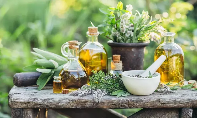 Assorted plants in bottles, pots and a pestle and mortar