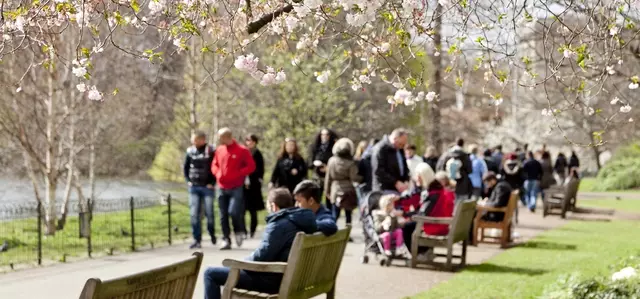 Park benches in St James's Park