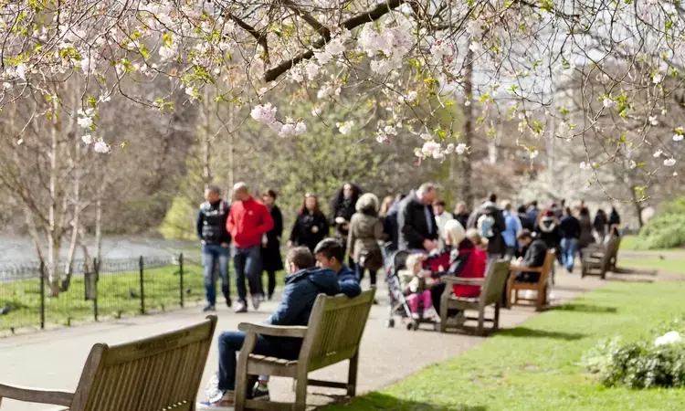 Park benches in St James's Park