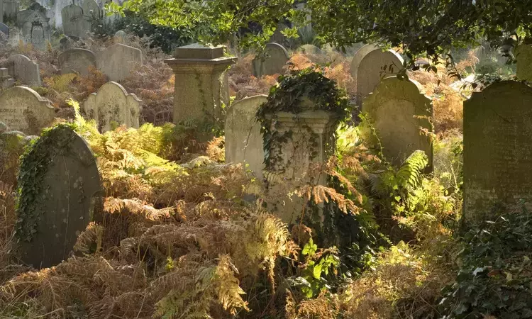 Graves in bracken in eastern burial zone