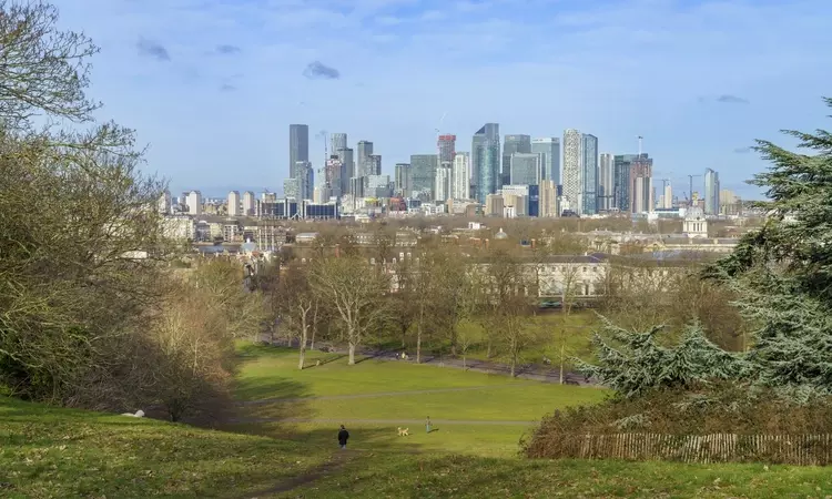 Greenwich Park in winter