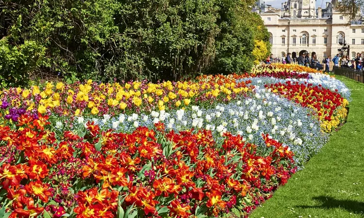 Spring bedding in St. James's Park