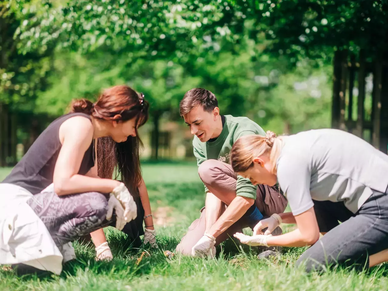 Citizen Science Dung Beetle survey workshop in Hyde Park