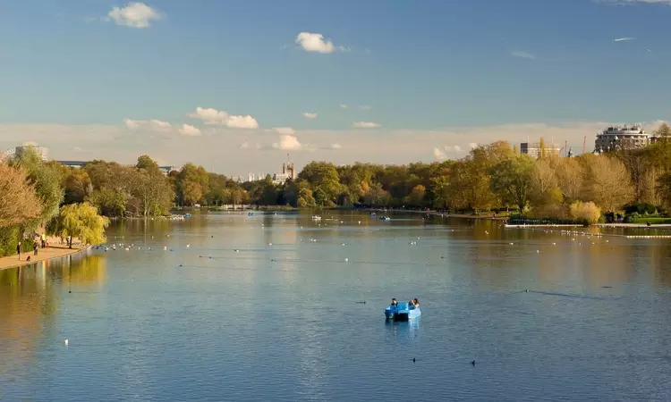 The two freshwater inlets in The Round Pond are affectionately known as 'mushrooms'