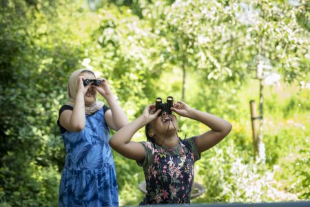 Bird watching discovery days