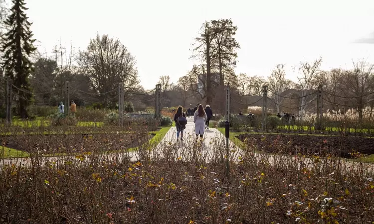 Queen Mary's garden