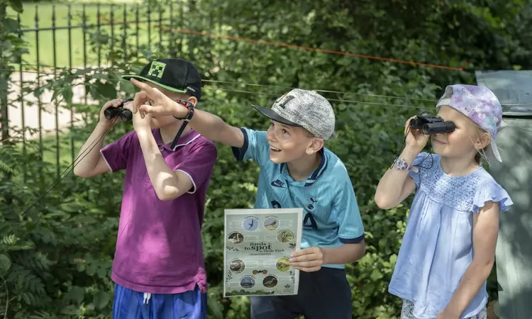 Bird watching discovery day