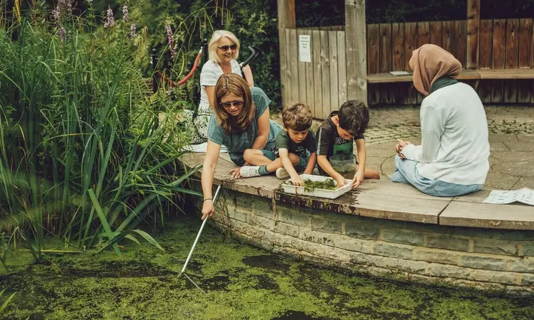 Pond dipping spring discovery days