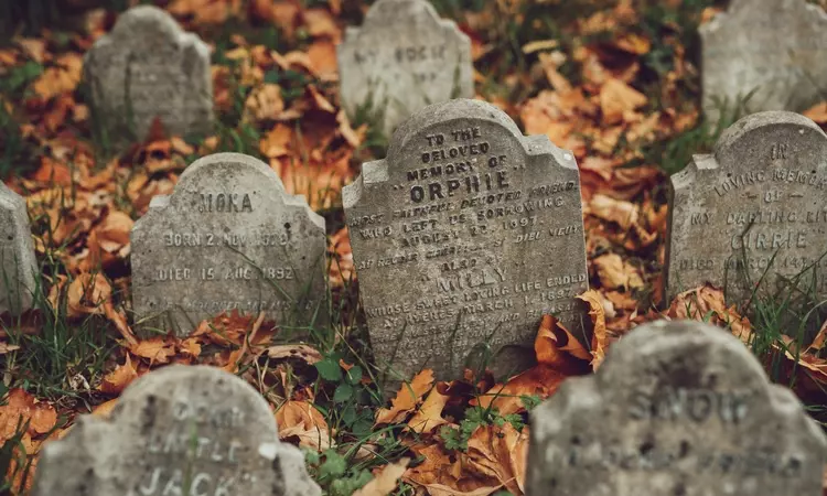 Hyde Park Pet Cemetery