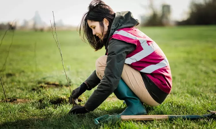 Tree planting in Primrose Hill