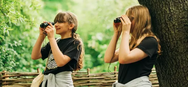 Bird watching discovery days