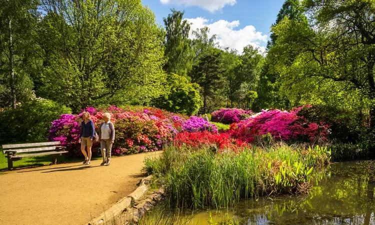 Ladies walking through the Isabella Plantation