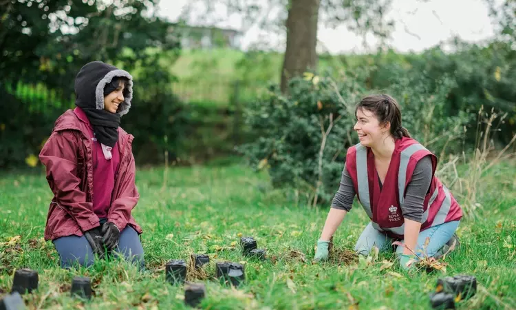 Two volunteers planting