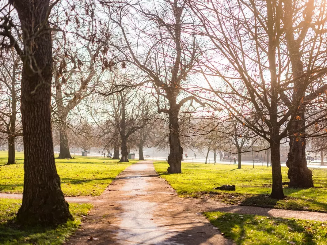 Morning view of a path with bare trees towards The Serpentine