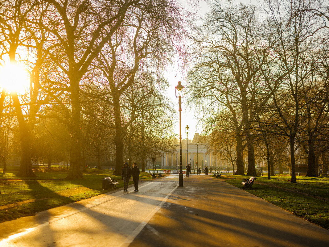 Hyde Park Early Morning