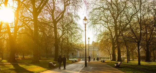 Hyde Park Early Morning