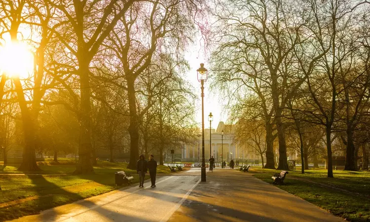 Hyde Park Early Morning