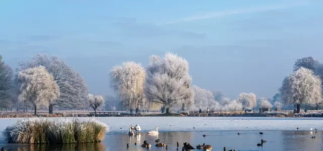 Frosty scene of Longford River in winter