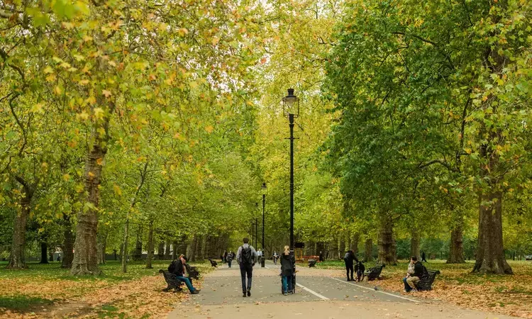 Hyde Park in autumn