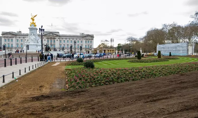 Buckingham Palace flower beds