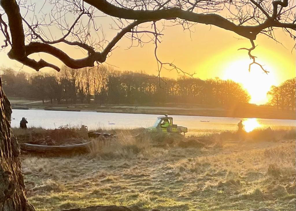 Police buggy in the park at sunrise