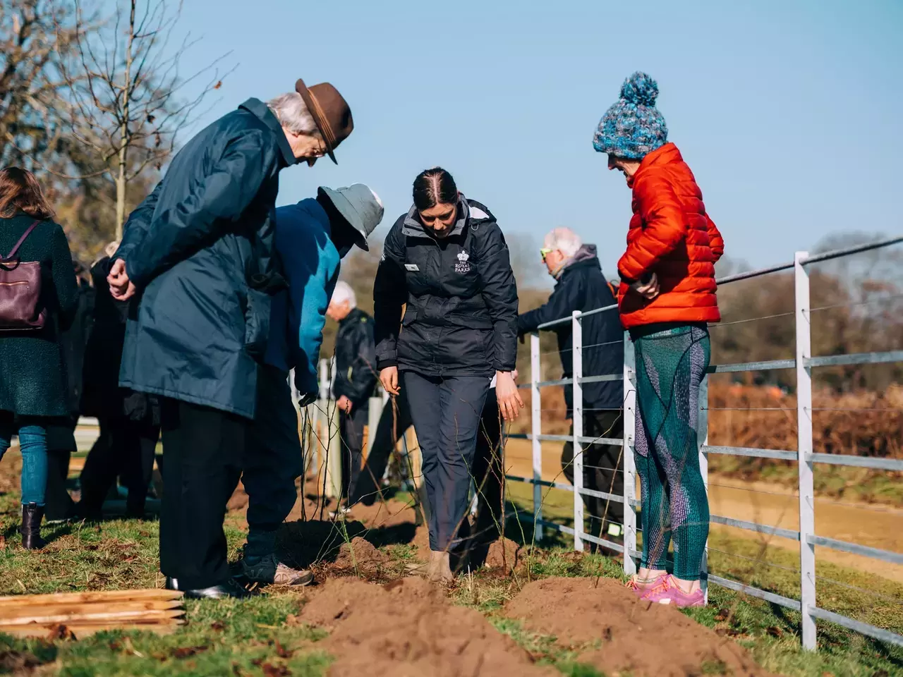 Tree planting community event in Richmond Park