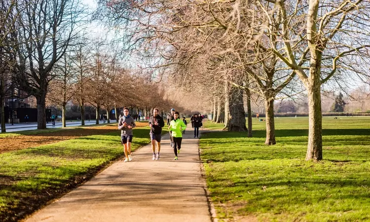 Runners in Hyde Park